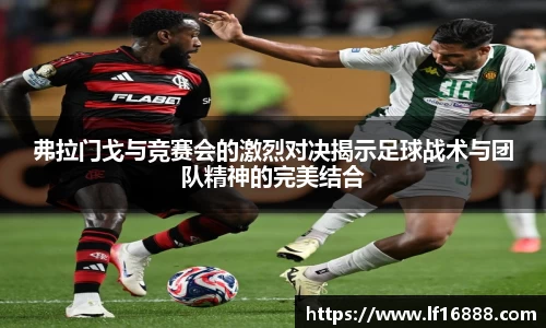 万博狗万网址